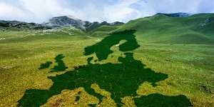 Wsparcie projektów: Europejski Zielony Ład