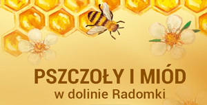 Nowe projekty LGD w zakresie pszczelarstwa: Pszczoły i Miód w Dolinie Radomki, Dookoła Pszczół.